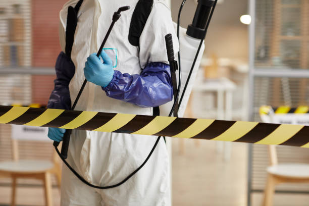 Professional Odor Removal technician working in Pequannock, NJ